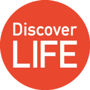 Discover LIFE