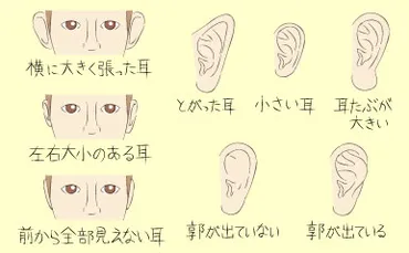 福耳以外にもこんなにある！耳の形で分かる金運タイプ【ココロは顔にあらわれる！顔相占い】vol.7(2015年12月22日)