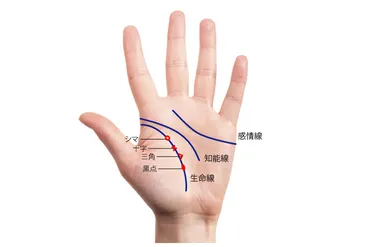 手相占い】生命線×流年法で見る今とこれからの運勢 自分の年齢の位置をチェックしよう！ 