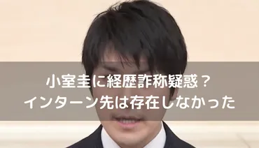 小室圭の経歴書に３つの詐称疑惑！就職先のプロフィールも怪しい？ 