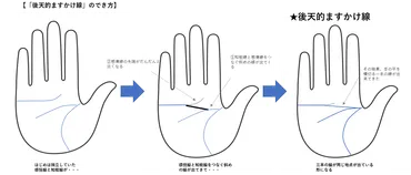 最強の手相・ますかけ線とは？意味・見方・種類を図解【強運を引き寄せる手相】