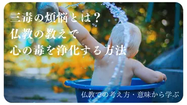 あなたの幸せを阻む執着は何か？仏教の「三毒」から学ぶ現代的アプローチ 