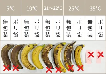 バナナの追熟、あなたは本当に理解していますか？バナナの保存方法、温度管理の重要性とは！？