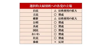 選択的夫婦別姓】主要政党の公約は？（衆院選2024）