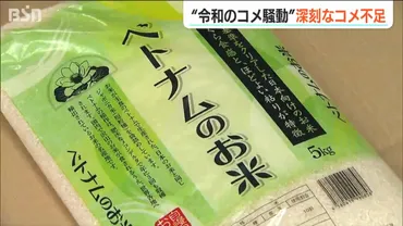 米不足が深刻で『令和の米騒動？』在庫量は過去25年で最少に…販売店にも農家にも「米がない」 ベトナム米の取り扱い始める店も 