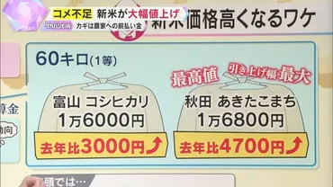 備蓄米放出は本当に必要？ 止まらない米価高騰の真相深刻化する米不足とは!!!