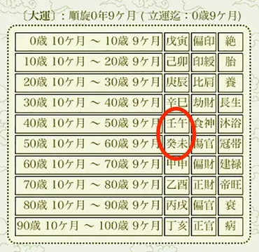 大殺界と宿命大殺界を自動計算する『四柱推命』 