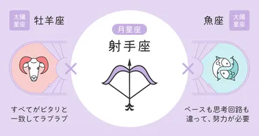 月星座射手座はどんな人？性格と恋愛傾向を徹底解説！月星座射手座とは！？