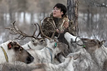 極寒の森でトナカイを放牧するエベンキ族 中国内モンゴル自治区 写真23枚 国際ニュース：AFPBB News