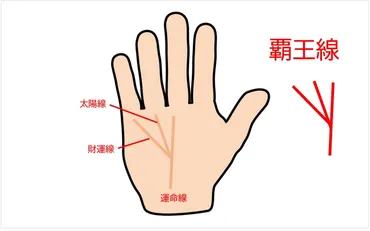 覇王線を持つ人は成功する？ 手相が語る運命と努力の関係億万長者の手相とは！？