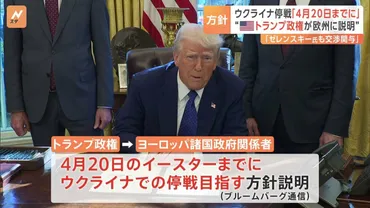 ロシア・ウクライナ戦闘終結に向けトランプ政権「月日までに停戦目指す」方針