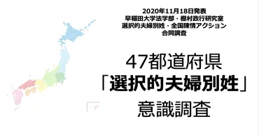 〜代の割が賛成!都道府県「選択的夫婦別姓」全国意識調査の概要
