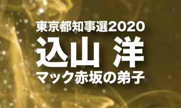 込山洋の経歴