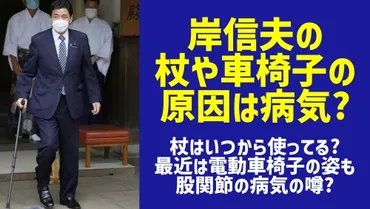 岸信夫は股関節の病気？杖や車椅子の理由や現在の体調が気になる！