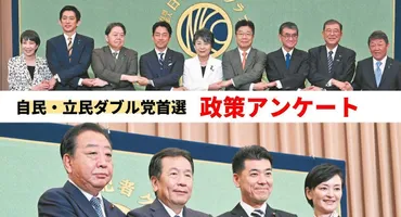 防衛増税」立民は全員、自民は見解割れる「消費税増税」は石破氏除く人が「しない」と回答:東京新聞デジタル