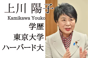 上川陽子の学歴がすごい!東京大学とハーバード大学出身で英語ペラペラ!