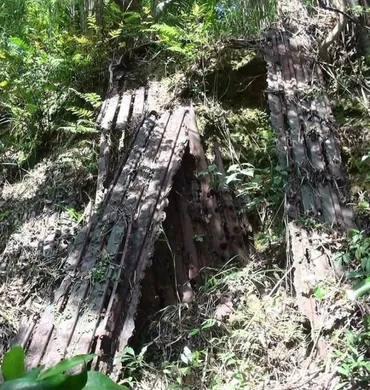 環境省も沖縄県も知っていた:北部訓練場返還跡地に残されていたもの