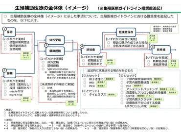 不妊治療技術のうち学会が推奨度A・Bとするものを保険適用、推奨度Cは保険外だが先進医療対応を検討―中医協総会 