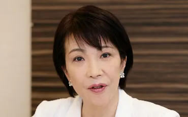 2ページ目)高市早苗政調会長の再婚 夫の山本拓・前衆院議員が「高市姓」に 