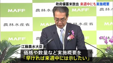 コメ価格高騰政府備蓄米の放出、「実施に向けての準備を急がせております」江藤農水大臣