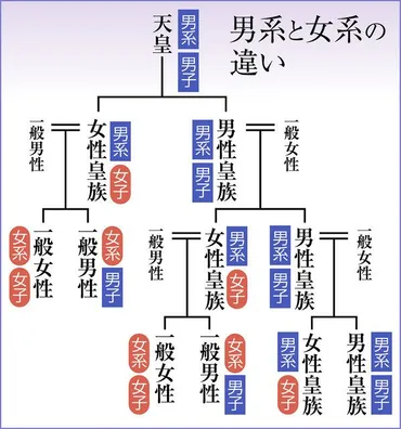 愛子さまは天皇になれるのか？皇位継承問題の現状と未来皇室典範の改正とは！？