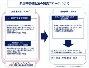 世界初の腸呼吸で、呼吸に苦しむ患者さんを助けたい!(東京医科歯科大学(武部研究室:武部貴則岡部亮小池梨江)公開)