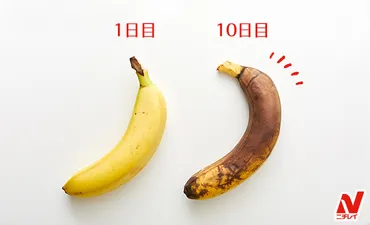 バナナが長持ちする保存方法!日以上もつ秘訣はポリ袋&野菜室