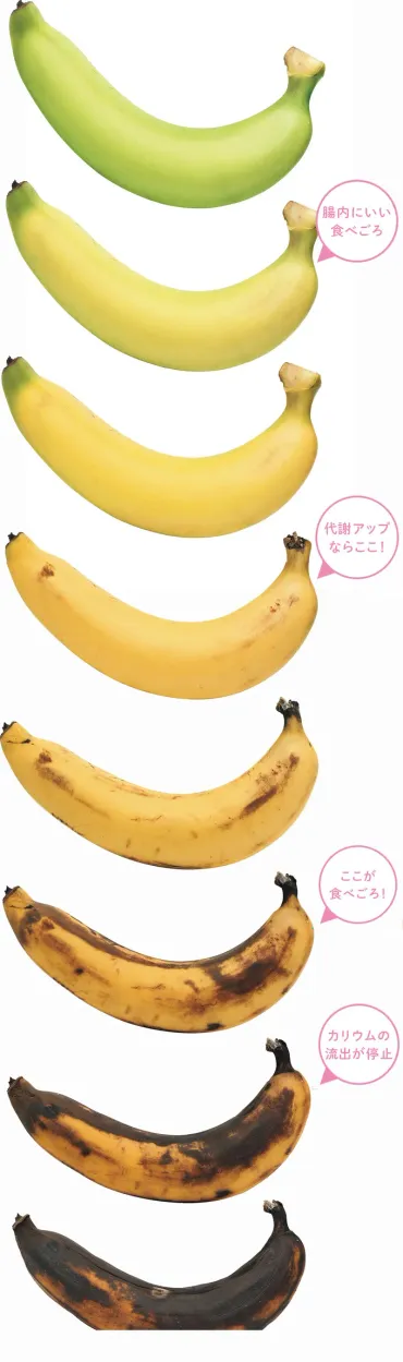 バナナの食べごろって、どのくらい熟したらいいの?「色」で食べごろを見極めよう