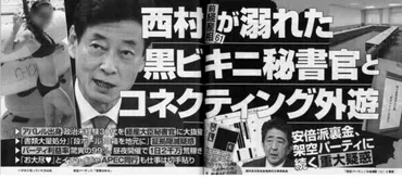 西村前経産相と女性秘書官の関係は？疑惑の真相とは！？