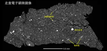 小惑星リュウグウの活発な地質活動の歴史が明らかに 