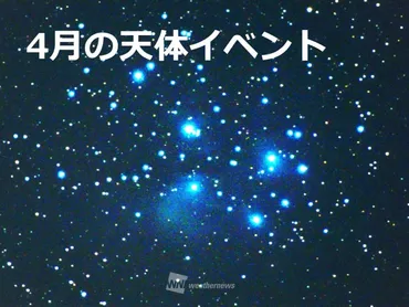 ☆月の天体イベント☆夜桜の向こうの星空にも注目を♪