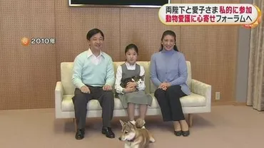 天皇ご一家が私的に犬猫に関するフォーラムにご参加愛子さまは゛古典文学の犬猫゛テーマにレポートの過去も