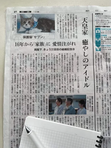 年当会が保護した猫セブンちゃん、天皇家の猫ちゃんへ。