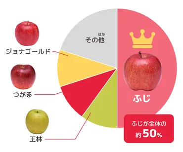 青森りんごの魅力を徹底解説！品種、選び方、歴史、観光情報を徹底解説？青森りんごの世界へようこそ！～品種の多様性から歴史、観光まで～