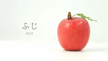 りんごの代表品種・ふじ