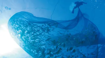 料理研究家のコウケンテツが見つけた、沖縄・伊良部島の魅力。サンゴ礁での伝統漁業「アギヤー漁」とは?獲れたグルクンで作る唐揚げは、みそ汁に入れても絶品!コウケンテツの日本年ゴハン紀行