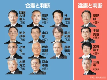 夫婦同姓は「合憲」最高裁の決定要旨、反対意見も紹介:朝日新聞