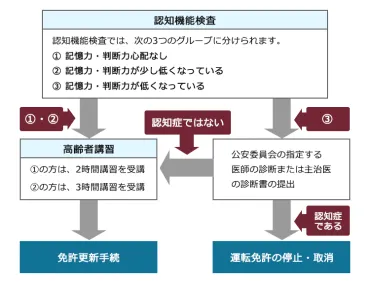 高齢者の免許更新に実技が導入！変更点や運転技能検査の内容を解説 