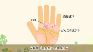 金星環(金星帯)の手相個の意味!感受性・美的センス・芸術的な才能・恋愛タイプもわかる?