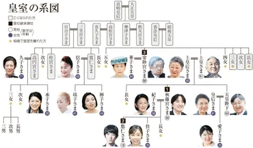 皇室の将来は「女性皇族が残る」「旧宮家から養子」の案検討:朝日新聞
