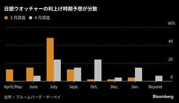 日銀会合注目点:米関税受けた経済・物価見通しと総裁会見