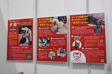 本当の殺処分ゼロに向けた「犬猫サポートプロジェクト」…名古屋市健康福祉局【インターペット愛知】 