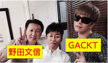 顔画像】野田文信は韓国籍で前科2犯？GACKTスピンドルの胴元だった！ 