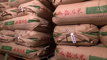 備蓄米を素早く店頭に」スーパー向けと小規模米店向けに優先販売枠…政府の新たな米高騰対策プライムオンライン