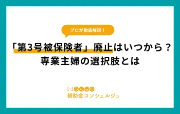 第3号被保険者制度廃止の議論：背景、課題、そして将来への影響？年金制度改革：第3号被保険者制度廃止と持続可能性