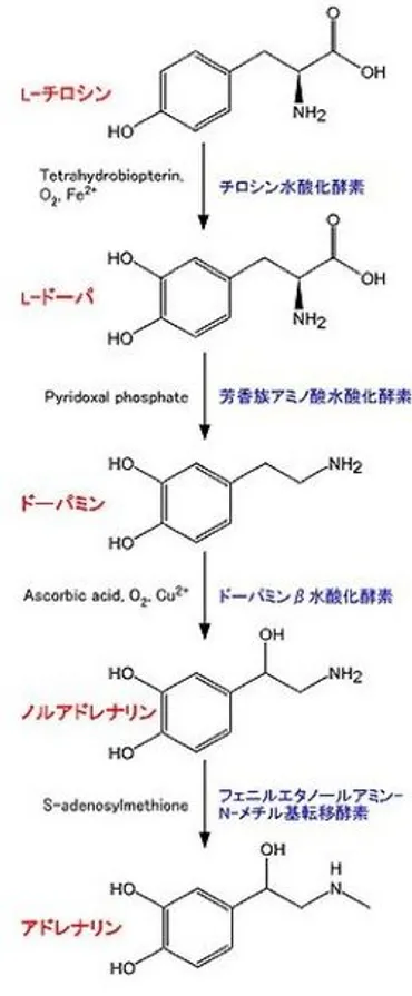 アドレナリン
