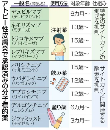 アトピー性皮膚炎に新たな「分子標的薬」が登場 ステロイドと違い炎症の原因を抑える 