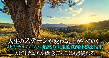 人生のステージが変わる時と変わったサイン】仕事、恋愛…次の魂 ...