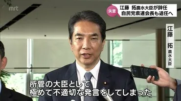 コメを買ったことはない」発言江藤拓農水大臣が事実上の更迭宮崎県民の声は