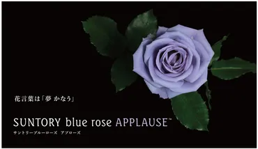 青いバラは存在する？花屋が考える青いバラの魅力。